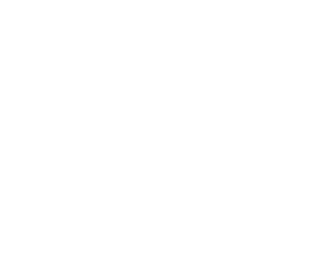 Viet Nam brand purpose